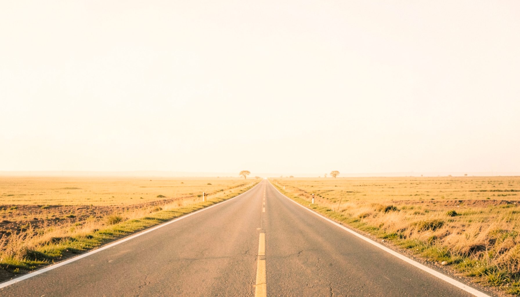 A warm, golden-hour road stretching into a vast open landscape under a hazy amber sky, suggesting a journey and camaraderie.